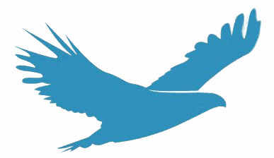 Изображение WhatsApp 2025-08-03 в 20.28.05_3d60e0cf